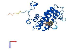MOBKL3 Protein (AA 1-225) (His tag)