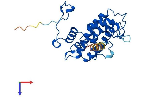 MOBKL3 Protein (AA 1-225) (His tag)