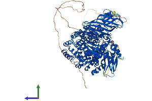 Protein Structure (PS) image for Leucyl/cystinyl Aminopeptidase (LNPEP) (AA 1-1025) protein (His tag) (ABIN7564493)