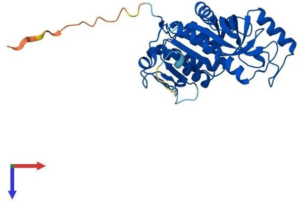 UPP2 Protein (AA 1-317) (His tag)