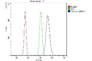 Flow Cytometry analysis of RAW264. (HOXD11 Antikörper  (N-Term))