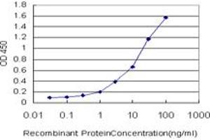 Detection limit for recombinant GST tagged CAMK2B is approximately 0. (CAMK2B Antikörper  (AA 1-503))