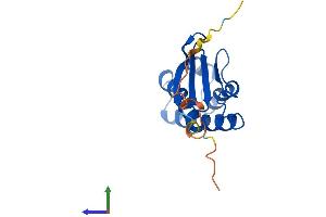Protein Structure (PS) image for BTG Family, Member 2 (BTG2) (AA 1-158) protein (His tag) (ABIN7552780)
