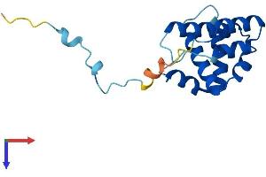 ARPC5L Protein (AA 1-153) (His tag)