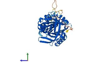 Protein Structure (PS) image for serpin Peptidase Inhibitor, Clade B (Ovalbumin), Member 3 (SERPINB3) (AA 1-390) protein (His tag) (ABIN7546267)