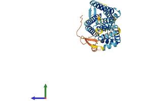 Protein Structure (PS) image for G Protein-Coupled Receptor 160 (GPR160) (AA 1-338) protein (His tag) (ABIN7548036)