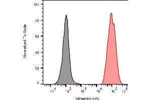 Separation of ESS-1 cells stained using anti-Vimentin (VI-RE/1) APC antibody (concentration in sample 1 μg/mL, red) from unstained ESS-1 cells (black) in flow cytometry analysis (intracellular staining). (Vimentin Antikörper  (APC))