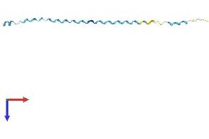 SPRR2D Protein (AA 1-85) (Fc Tag)