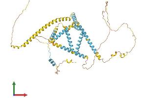 AlphaFold protein structure predicition of Human Recombinant RETREG1 Protein, UniprotID Q9H6L5
