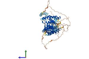 Protein Structure (PS) image for LON Peptidase N-terminal Domain and Ring Finger 3 (LONRF3) (AA 1-753) protein (His tag) (ABIN7560991)