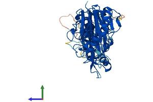 Protein Structure (PS) image for Chromosome 13 Open Reading Frame 31 (C13orf31) (AA 1-430) protein (His tag) (ABIN7548978)