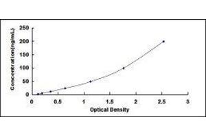ELISA image for Ceramide Kinase (CERK) ELISA Kit (ABIN1874373)