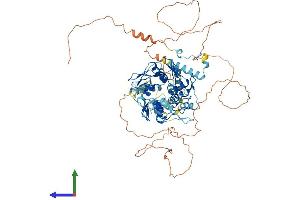 Protein Structure (PS) image for Zinc Finger Protein 778 (ZNF778) (AA 1-729) protein (His tag) (ABIN7545400)
