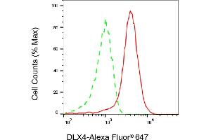 Flow cytometric analysis of DLX4 expression in HAP-1 cells using DLX4 antibody (ABIN7798358), 1:2,000). (Rekombinanter DLX4 Antikörper)