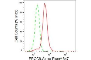 Flow cytometric analysis of ERCC8 expression in HeLa cells using ERCC8 antibody (ABIN7798541), 1:2,000). (Rekombinanter ERCC8 Antikörper)