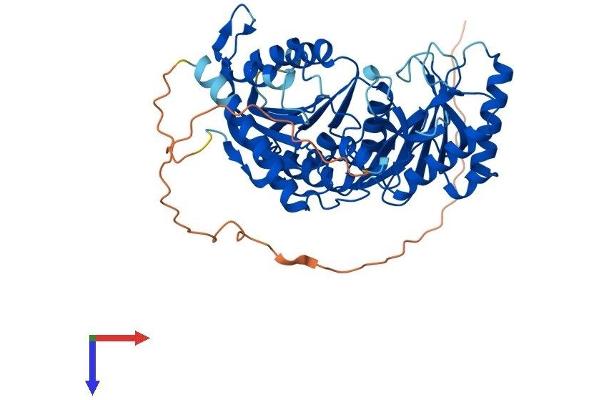 TRMT2B Protein (AA 1-493) (His tag)