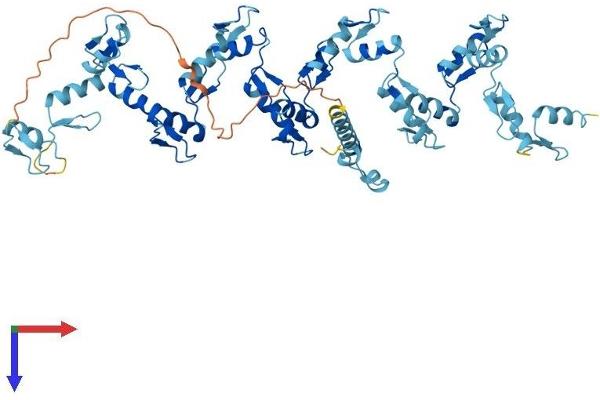 ZNF791 Protein (AA 1-576) (His tag)