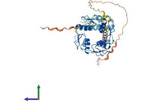 AlphaFold protein structure predicition of Human Recombinant ZNF679 Protein, UniprotID Q8IYX0