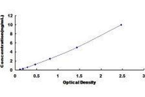 ELISA image for TIMP Metallopeptidase Inhibitor 3 (TIMP3) ELISA Kit (ABIN416332)