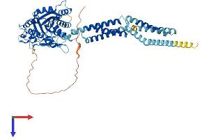 ATL2 Protein (AA 1-583) (His tag)