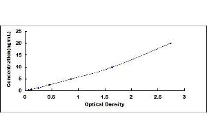 Typical standard curve