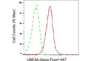Flow cytometric analysis of UBE3A expression in HepG2 cells using UBE3A antibody (ABIN7800723), 1:2,000).