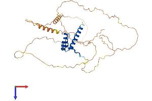HOXA13 Protein (AA 1-388) (His tag)