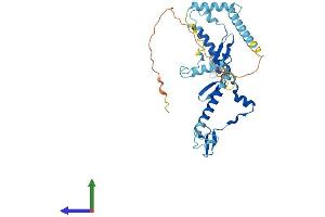 Protein Structure (PS) image for RRS1 Ribosome Biogenesis Regulator (RRS1) (AA 1-365) protein (His tag) (ABIN7551565)