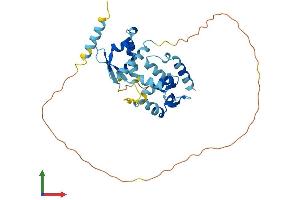 Protein Structure (PS) image for Melanoma Antigen Family B, 2 (MAGEB2) (AA 1-319) protein (His tag) (ABIN7549313)