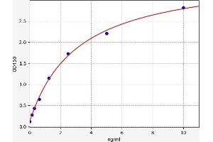 Monoamine Oxidase A (MAOA) ELISA Kit
