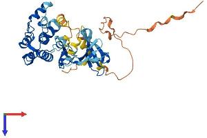 CAMK1 Protein (AA 1-374) (His tag)