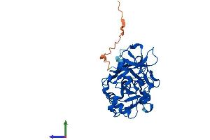 Protein Structure (PS) image for Fumarylacetoacetate Hydrolase Domain Containing 2A (FAHD2A) (AA 1-314) protein (His tag) (ABIN7547656)