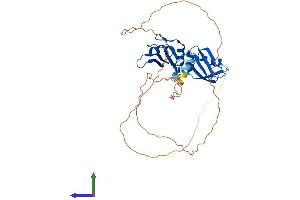 Protein Structure (PS) image for Heterogeneous Nuclear Ribonucleoprotein A1 (HNRNPA1) (AA 1-372) protein (His tag) (ABIN7551499)