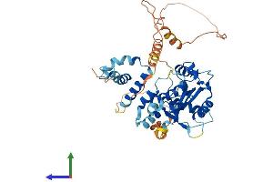 Protein Structure (PS) image for Maelstrom Spermatogenic Transposon Silencer (MAEL) (AA 1-434) protein (His tag) (ABIN7564438)
