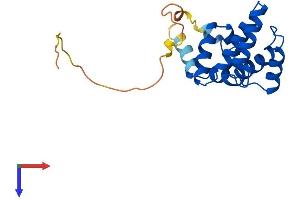 RGS8 Protein (AA 1-180) (His tag)