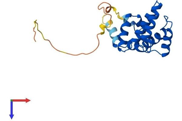 RGS8 Protein (AA 1-180) (His tag)