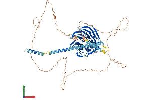 Protein Structure (PS) image for Neural Precursor Cell Expressed, Developmentally Down-Regulated 1 (NEDD1) (AA 1-660) protein (His tag) (ABIN7549782)
