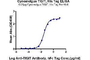 Immobilized Cynomolgus TIGIT, His Tag at 0. (TIGIT Protein (AA 22-141) (His tag))