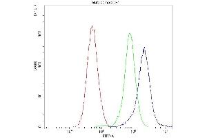 Flow Cytometry analysis of U251 cells using anti-CHRNA5 antibody (ABIN5518749).