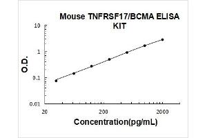 Mouse TNFRSF17/BCMA PicoKine ELISA Kit standard curve