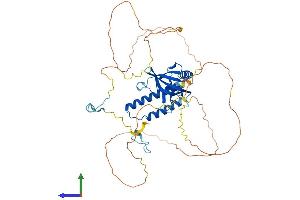 AlphaFold protein structure predicition of Human Recombinant NUP50 Protein, UniprotID Q9UKX7