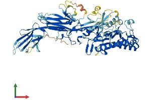 AlphaFold protein structure predicition of Human Recombinant PADI6 Protein, UniprotID Q6TGC4