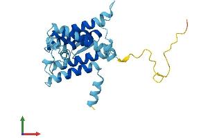 Protein Structure (PS) image for Der1-Like Domain Family, Member 2 (DERL2) (AA 1-239) protein (His tag) (ABIN7547070)