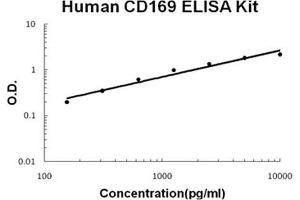 Human CD169/SIGLEC-1 PicoKine ELISA Kit standard curve (Sialoadhesin/CD169 ELISA Kit)