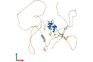 Protein Structure (PS) image for Ets Variant 3 (ETV3) (AA 1-513) protein (His tag) (ABIN7559771)
