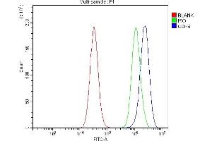 Flow Cytometry analysis of PC-3 cells using anti-K Cadherin/CDH6 antibody (ABIN7600136). (CDH6 Antikörper  (AA 153-424))