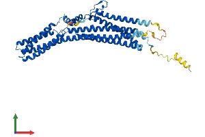 Protein Structure (PS) image for Tweety Homolog 1 (TTYH1) (AA 1-450) protein (His tag) (ABIN7560946)