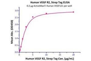 Binding Studies (Bind) image for VEGF Receptor 2 (VEGFR2) (AA 20-764) (Active) protein (Strep Tag) (ABIN6810003)