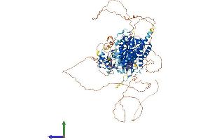 Protein Structure (PS) image for Tubulin tyrosine Ligase-Like Family, Member 3 (TTLL3) (AA 1-927) protein (His tag) (ABIN7561995)