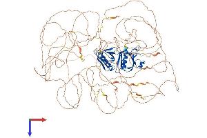 IRS1 Protein (AA 1-1242) (His tag)